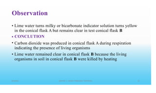 Observation
• Lime water turns milky or bicarbonate indicator solution turns yellow
in the conical flask A but remains clear in test conical flask B
CONCLUTION
Carbon dioxide was produced in conical flask A during respiration
indicating the presence of living organisms
Lime water remained clear in conical flask B because the living
organisms in soil in conical flask B were killed by heating
•
•
•
 