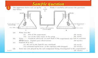 Sam le
a
stude
nt.
uestion
set up by Study
T h e a p p ar a t u s b e l o w
that follow.
w a s it careful ly a n d an swe r th e q u est i o n s
, Sterilised soil in muslin
bag
F r e s h m o i s t s o i l - f ! •
inmuslin bag
[ ? j
A
_" + ' ' •
' , · e , · · . ,
L i e w a s . ' ? ? ' j : ? ? ? : : ? '
B
L i e w a t e r
capillary tube co ntainin g
coloured liquid
(a). W h a t w a s
(i)
(ii)
S t at e
wh a t
the:
aim o f th e ex peri ment . (0I mark)
(0I mark)
left to con tinue
u s e o f th e l im e wate r in t h e setup
wo ul d b e o bserv ed in each fl ask if th e
(b). e x p e r i m e n t w a s
for 2 4 hours. Explain your observations.
Exp l ai n w h y was :
(i) the soil in the flask B w a s sterilised
(ii) coloured liquid level in the capillary tube dropped.
(04 ma rk s)
(c).
( 0 I
(02
ma rk )
ma rk s)
(d). S tate one ro le pl ayed b y the s oi l co mp on ent b ein g in ves t i gat ed in thi s exp erimen t?
(0I marks)
8/3/2023 54
 