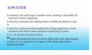 b)WATER
It moistens soil and keeps it humid/ moist, making it favorable for
survival of micro organisms
It dissolves mineral salts making them available for plants to take
in
It dissolves carbon dioxide produced by living organisms to form
carbonic acid which causes chemical weathering of rocks
It is a raw material for photosynthesis
►Water absorbed from the soil allows plant cells to be rigid (turgid),
and this is very important for support of the plant, particularly
herbaceous plant
 
