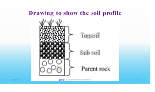 Drawing to show the soil profile
Topsoil
Sub soil
o
@PETER .L. OKION 778001502/ 758795415
 