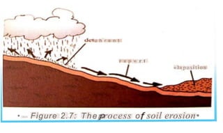 u h r e n t
r a p w r t
«l«posi ti on
Theprocess soil erosion•
Figure 2.7:
• o
 