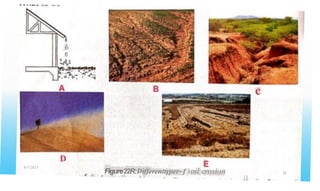 6
6
'
c
B
D
E
8/3/2023
Figure22R:Differenttyper~f soil erosion
.l a
72
t i. • a . h . u lt
d
 