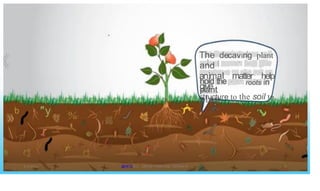 The decaving plant
and
animal matter help
give
structure to the soil to
hold the
plant
place.
roots in
"y
r
b (
'
-,
» %
'
/
4s
«"
) ~


l
-----
l
f
!
. 0
I (
r
•
@PETER .L. OKION 778001502/ 758795415
8/3/2023
 