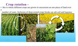 Crop rotation -
• this is where different crops are grown in succession on one piece of land over
a
number of years. Inclusion of deep rooted crops breaks up sub soil and legumes
harbor rhizobium which adds nitrates to the soil
 