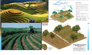 Water Balance
Plants consume some of rainfall n
regions, and part of the water
evaporates from the soil The
rest
runs off the surface or recharges
groundwater.
Transpiration
Evaporation
Terracin g can change the
specific
hydrological path ways,
increase soil roughn ess and
vertical surface
relief, and decrease the
connectivity of overland flow.
-
Soil and Water conservation
measures (Fanya-juu
Terraces)
a SOM Levels: -35% more than farms
with conventional agnicfure'
Crop Yields.: at least 25% more than
farms with enrwantinnal arrienltre'
} o
8/3/2023
- - - T r e n c h
 