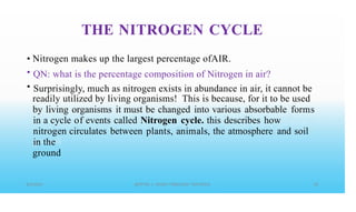 THE NITROGEN CYCLE
•
•
•
Nitrogen makes up the largest percentage ofAIR.
QN: what is the percentage composition of Nitrogen in air?
Surprisingly, much as nitrogen exists in abundance in air, it cannot be
readily utilized by living organisms! This is because, for it to be used
by living organisms it must be changed into various absorbable forms
in a cycle of events called Nitrogen cycle. this describes how
nitrogen circulates between plants, animals, the atmosphere and soil
in the
ground
 