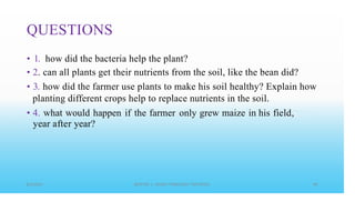 QUESTIONS
•
•
•
1.
2.
3.
how did the bacteria help the plant?
can all plants get their nutrients from the soil, like the bean did?
how did the farmer use plants to make his soil healthy? Explain how
planting different crops help to replace nutrients in the soil.
4. what would happen if the farmer only grew maize in his field,
year after year?
•
 