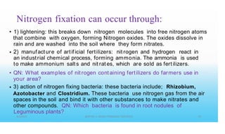 Nitrogen fixation can occur through:
• 1) lightening: this breaks down nitrogen molecules into free nitrogen atoms
that combine with oxygen, forming Nitrogen oxides. The oxides dissolve in
rain and are washed into the soil where they form nitrates.
2) manufact ure of artif icial fertilizers: nit rogen and hydrogen react in
an industrial chemical process, forming ammonia. The ammonia is used
to make ammonium salt s and nit rat es, which are sold as fertilizers.
QN: What examples of nit rogen containing fertilizers do farmers use in
your area?
3) action of nitrogen fixing bacteria: these bacteria include; Rhizobium,
•
•
•
Azotobacter and
spaces in the soil
Clostridium. These bacteria use nitrogen gas from the air
and bind it with other substances to make nitrates and
other compounds. QN: Which bacteria is found in root nodules of
Leguminous plants?
 