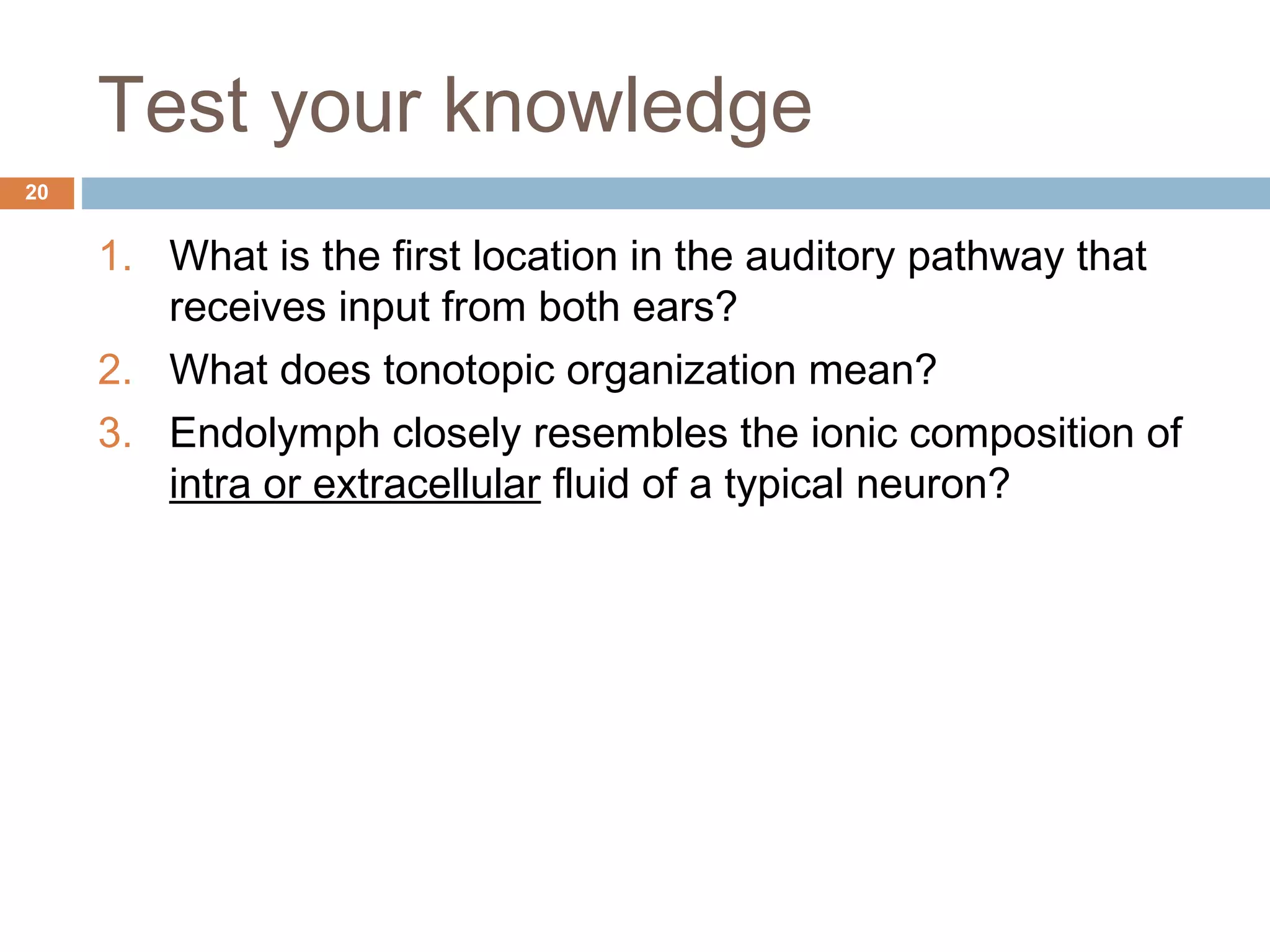 Anatomy and Physiology of the Auditory System | PPT