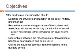 Anatomy and Physiology of the Auditory System | PPT