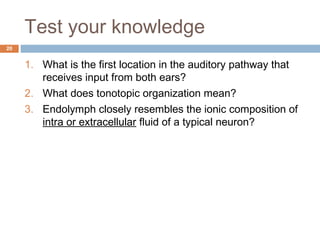 20
1. What is the first location in the auditory pathway that
receives input from both ears?
2. What does tonotopic organization mean?
3. Endolymph closely resembles the ionic composition of
intra or extracellular fluid of a typical neuron?
Test your knowledge
 