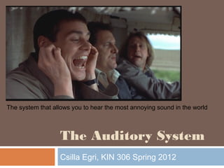 The Auditory System
Csilla Egri, KIN 306 Spring 2012
The system that allows you to hear the most annoying sound in the world
 