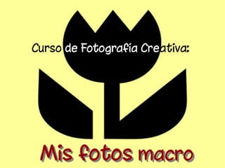 Curso de Fotografía Creativa: 
MMiiss ffoottooss mmaaccrroo 
 