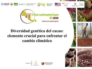 Diversidad genética del cacao:
elemento crucial para enfrentar el
cambio climático
 