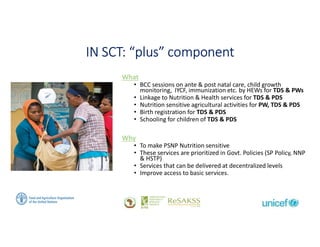 IN SCT: “plus” component
What
• BCC sessions on ante & post natal care, child growth
monitoring, IYCF, immunization etc. by HEWs for TDS & PWs
• Linkage to Nutrition & Health services for TDS & PDS
• Nutrition sensitive agricultural activities for PW, TDS & PDS
• Birth registration for TDS & PDS
• Schooling for children of TDS & PDS
Why
• To make PSNP Nutrition sensitive
• These services are prioritized in Govt. Policies (SP Policy, NNP
& HSTP)
• Services that can be delivered at decentralized levels
• Improve access to basic services.
 