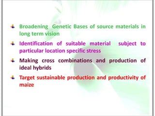 Broadening Genetic Bases of source materials in
long term vision
Identification of suitable material   subject to
particular location specific stress
Making cross combinations and production of
ideal hybrids
Target sustainable production and productivity of
maize
 