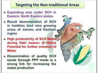 Targeting the Non-traditional Areas
Expanding area under SCH in
Eastern, North Eastern states.
Result demonstration of SCH
in tradition land race growing
areas of Jammu and Kashmir
region
High productivity of SCH Maize
during Rabi season (9-10t/ha)
Potential for further enhance of
Maize
Dissemination of quality SCH
seeds through PPP mode is a
strong link for increasing the
maize production
 