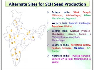 Alternate Sites for SCH Seed Production
                      Eastern India: West Bengal-
                       Midnapur, KrishnaNagar; Bihar-
                       Muzafurpur, Begusarai
                      Western India: Gujarat-Himatnagar;
                       Rajasthan- Udaipur
                      Central India: Madhya Pradesh-
                       Chindwada, Indore, Ratlam ;
                       Maharashtra-Aurangabad,
                       Ahmednagar
                      Southern India: Karnataka-Bellary,
                       Raichur, Shimoga; TN-Salem; AP-
                       Guntur
                      Northern India: Punjab-Haryana-
                       Eastern UP in Rabi, Uttarakhand in
                       spring
 