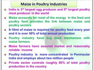 Maize in Poultry Industries
India is 3rd largest egg producer and 5th largest poultry
meat producer in the world
Maize accounts for most of the energy in the feed and
poultry feed provides the link between maize and
poultry sectors
8-10mt of maize is required for poultry feed every year
and it is over 50% of total annual production
Poultry industry have buy back mechanism with
maize farmers
Maize farmers have assured market and reasonably
reliable income
Poultry industry is more concentrated in Peninsular
India and employs about two million people
Private sector controls roughly 80% of total poultry
production in the country
 