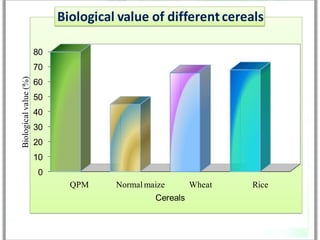 Biological value of different cereals

                       80
                       70
Biological value (%)




                       60
                       50
                       40
                       30
                       20
                       10
                       0
                              QPM     Normal maize       Wheat   Rice
                                               Cereals
 