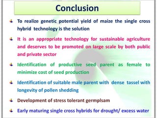 Conclusion
To realize genetic potential yield of maize the single cross
hybrid technology is the solution
It is an appropriate technology for sustainable agriculture
and deserves to be promoted on large scale by both public
and private sector
Identification of productive seed parent as female to
minimize cost of seed production
Identification of suitable male parent with dense tassel with
longevity of pollen shedding
Development of stress tolerant germplsam
Early maturing single cross hybrids for drought/ excess water
 
