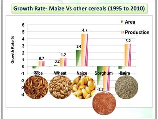 Growth Rate- Maize Vs other cereals (1995 to 2010)

                                                                     Area
                6
                5                               4.7
                                                                     Production
Growth Rate %




                4                                                    3.2
                3                         2.4
                2                   1.2
                1       0.7
                              0.2
                0
                -1   -0.3
                      Rice    Wheat       Maize       Sorghum     -0.4
                                                                   Bajra
                -2
                -3                                     -2.7
                -4                                         -3.5
 