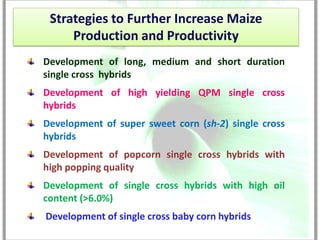 Strategies to Further Increase Maize
     Production and Productivity
Development of long, medium and short duration
single cross hybrids
Development of high yielding QPM single cross
hybrids
Development of super sweet corn (sh-2) single cross
hybrids
Development of popcorn single cross hybrids with
high popping quality
Development of single cross hybrids with high oil
content (>6.0%)
Development of single cross baby corn hybrids
 