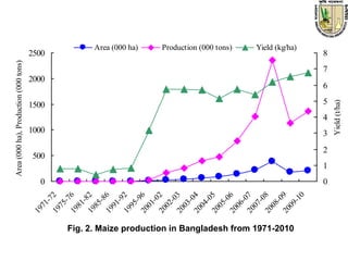 S3.4. MAIZE IMPROVEMENT IN BANGLADESH | PDF