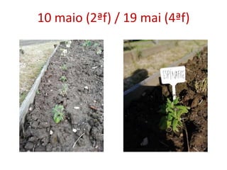 10 maio (2ªf) / 19 mai (4ªf)
 