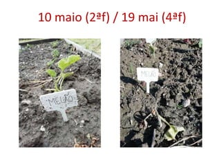 10 maio (2ªf) / 19 mai (4ªf)
 