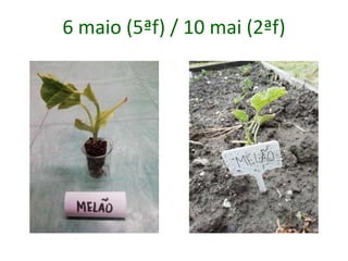 6 maio (5ªf) / 10 mai (2ªf)
 