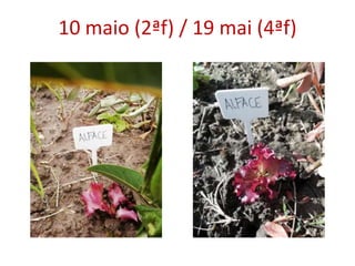 10 maio (2ªf) / 19 mai (4ªf)
 