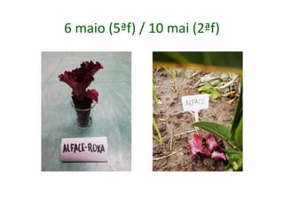 6 maio (5ªf) / 10 mai (2ªf)
 