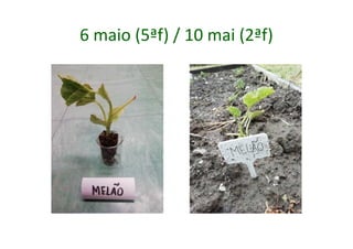 6 maio (5ªf) / 10 mai (2ªf)
 