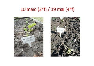 10 maio (2ªf) / 19 mai (4ªf)
 