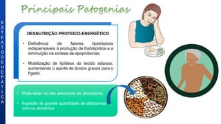 DESNUTRIÇÃO PROTEICO-ENERGÉTICO
• Deficiência de fatores lipotrópicos
indispensáveis à produção de fosfolipídios e a
diminuição na síntese de apoproteínas;
• Mobilização de lipídeos do tecido adiposo,
aumentando o aporte de ácidos graxos para o
fígado.
E
S
T
E
A
T
O
S
E
H
E
P
Á
T
I
C
A
• Pode estar ou não associada ao alcoolismo;
• Ingestão de grande quantidade de aflatoxinas
com os alimentos
 