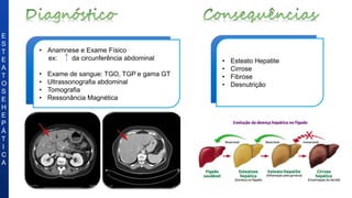 • Esteato Hepatite
• Cirrose
• Fibrose
• Desnutrição
• A anamnese e o exame físico,
nesse caso, são em suma maioria
insuficiente.
• A maior parte do diagnóstico de EH
é feito acidentalmente
E
S
T
E
A
T
O
S
E
H
E
P
Á
T
I
C
A
• Anamnese e Exame Físico
ex: da circunferência abdominal
• Exame de sangue: TGO, TGP e gama GT
• Ultrassonografia abdominal
• Tomografia
• Ressonância Magnética
 