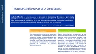 Nombre
del
curso
–
Sesión
3
DETERMINANTES SOCIALES DE LA SALUD MENTAL
 