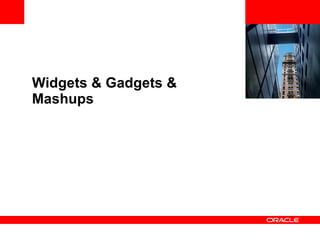 <Insert Picture Here> Widgets & Gadgets & Mashups 