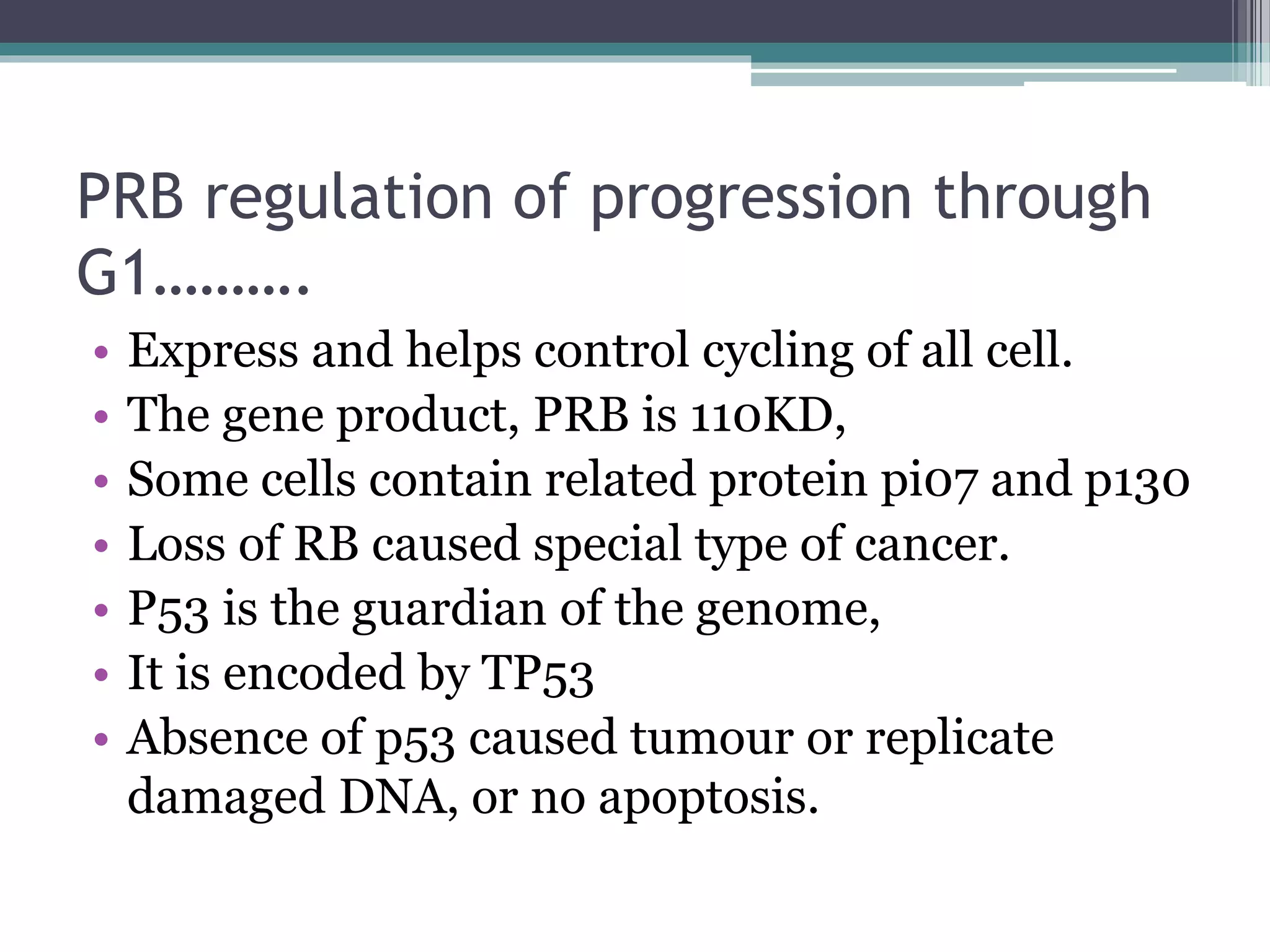cell cycle disragulation and cancer | PPTX