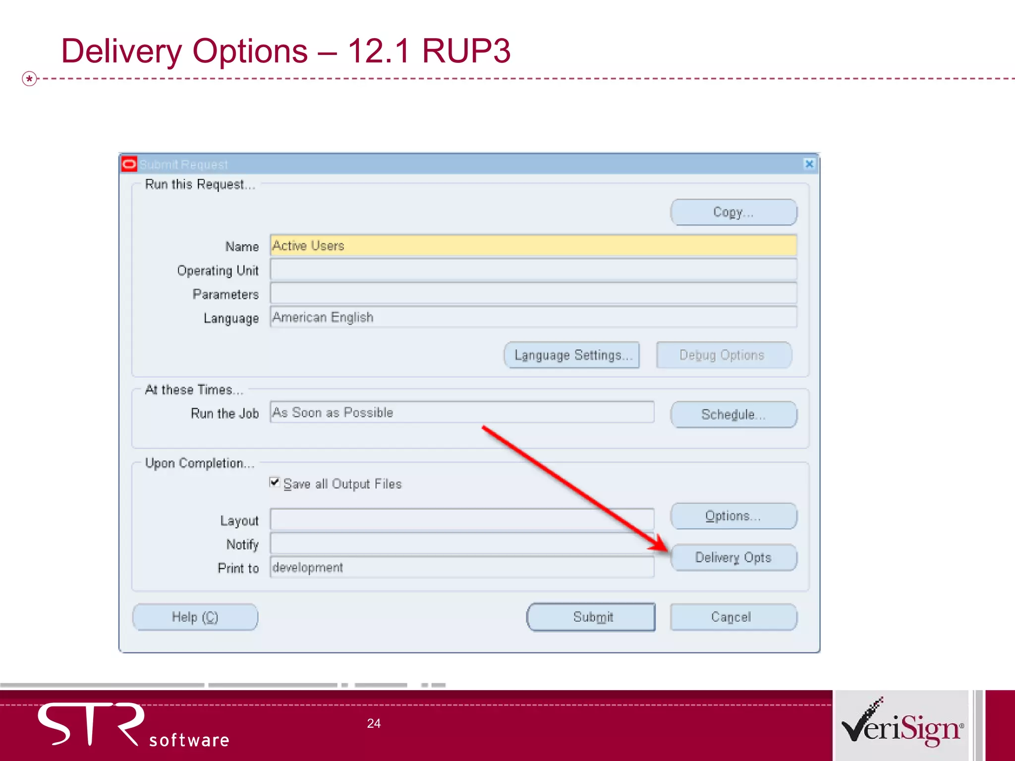 Delivery Options – 12.1 RUP3 