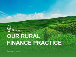 OUR RURAL
FINANCE PRACTICE
 