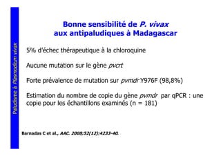 Bonne sensibilité de P. vivax
                                             aux antipaludiques à Madagascar
Paludisme à Plasmodium vivax




                                 5% d’échec thérapeutique à la chloroquine

                                 Aucune mutation sur le gène pvcrt

                                 Forte prévalence de mutation sur pvmdr Y976F (98,8%)

                                 Estimation du nombre de copie du gène pvmdr par qPCR : une
                                 copie pour les échantillons examinés (n = 181)



                               Barnadas C et al., AAC. 2008;52(12):4233-40.
 