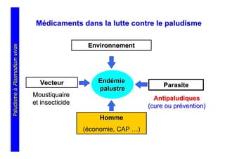 Médicaments dans la lutte contre le paludisme

                                                 Environnement
Paludisme à Plasmodium vivax




                                 Vecteur            Endémie
                                                                         Parasite
                                                    palustre
                               Moustiquaire
                                                                      Antipaludiques
                               et insecticide
                                                                    (cure ou prévention)
                                                    Homme
                                                (économie, CAP …)
 
