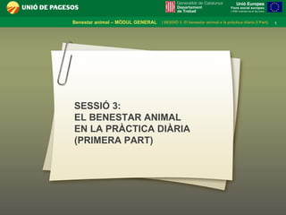 SESSIÓ 3: EL BENESTAR ANIMAL EN LA PRÀCTICA DIÀRIA (PRIMERA PART) 