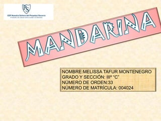 NOMBRE:MELISSA TAFUR MONTENEGRO
GRADO Y SECCIÓN: IIIº “C”
NÚMERO DE ORDEN:33
NÚMERO DE MATRÍCULA: 004024
 