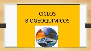 S3 ciclos bioqueoquimicos