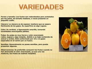 S3 D 28 PresentacióN La Mandarina