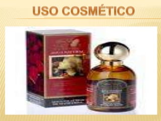 S3 D 28 PresentacióN La Mandarina