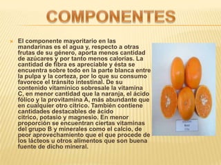 El componente mayoritario en las

    mandarinas es el agua y, respecto a otras
    frutas de su género, aporta menos can...